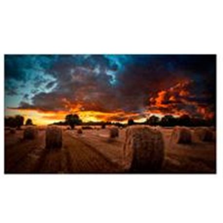 MONITOR SEÑALIZACION DIGITAL SAMSUNG 55 VMT55-U FULL HD, VIDEOWALL, DVI-D, HDMI, RS232C, RJ45, D.PORT, 500 NITS, 3.5MM, 24/7