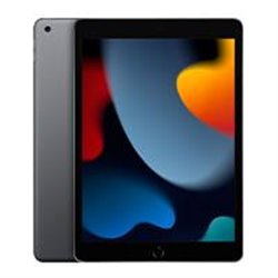 IPAD 10.2 / NOVENA GENERACION / WI-FI / 256GB / GRIS ESPACIAL