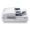 SCANNER EPSON WORKFORCE DS-6500, 25 PPM/50 IPM, 1200 DPI, 48 BITS, CAMA PLANA, USB, ADF, DUPLEX