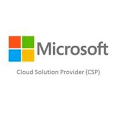 CSP MICROSOFT 365 BUSINESS STANDARD - ANUAL