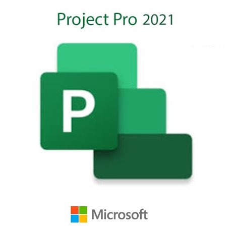 MICROSOFT PROJECT ESD PROFESSIONAL 2021
