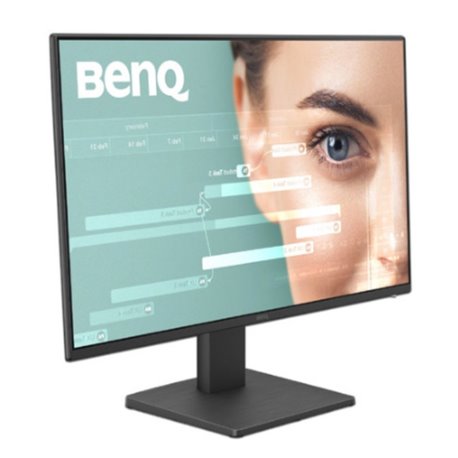 Monitor Benq GW2491 23.8 pulg.1920*1080 Full HD 100Hz HDMI / DP negro
