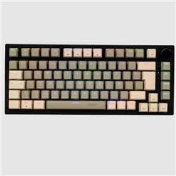 Teclado Naceb mecanico gamer inalambrico con iluinacion TKL SILVER FANG modelo NA-0969 color Negro con teclas color cafe y beige
