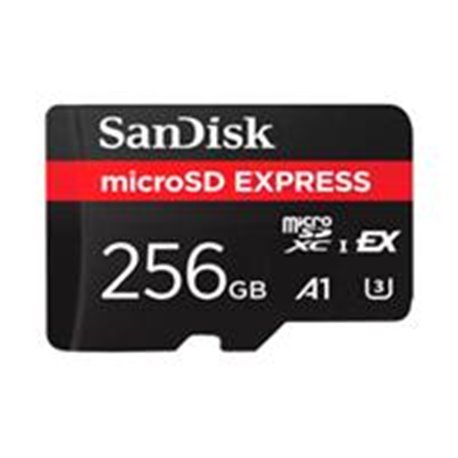 MEMORIA SANDISK MICRO SDXC EXPRESS 256GB NINTENDO SWITCH 2 880MB/S SDSQXFN-256G-GN4NN