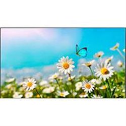 MONITOR PROFESIONAL NEC 46 PULGADAS UN462A FULL HD (UHD READY) HDMI DP IN/OU DVI (HDCP1.3-2.2)  700 CD/M2 RJ45 24/7 CONT. 3500:1