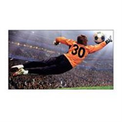 MONITOR SEALIZACION DIGITAL LG 49 PLG, PARA VIDEO WALL BISEL 3.5 MM USO 24/7 1920 X 1080 FHD, 500 NITS HDMI 2, DP, DVI-D, USB 2.