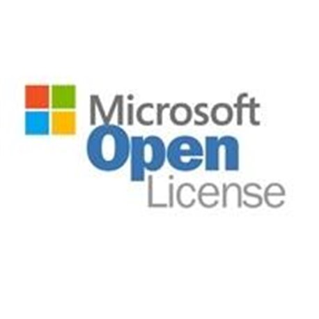 OPEN GOBIERNO OFFICE PROFESIONAL PLUS 2019 SNGL OLP NL