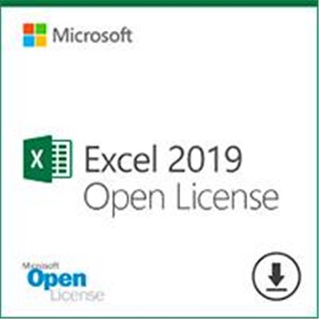 OPEN BUSINESS EXCEL 2019 SNGL OLP NL