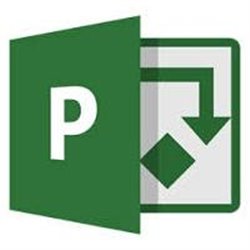 MICROSOFT CLOUD BUSINESS PROJECT PLAN 3 FOR OFFICE 365 OPEN SNGL VL OLP ANUAL LIC ELECTRONICO