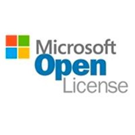 OPEN BUSINESS VISUAL STUDIO PRO 2019 SNGL OLP NL LIC ELECTRONICA