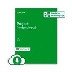 ESD MICROSOFT PROJECT PROFESSIONAL 2019 - LICENCIA - 1 PC