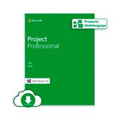ESD MICROSOFT PROJECT PROFESSIONAL 2019 - LICENCIA - 1 PC